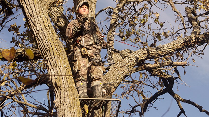 Know-How: Make Your Treestand Disappear